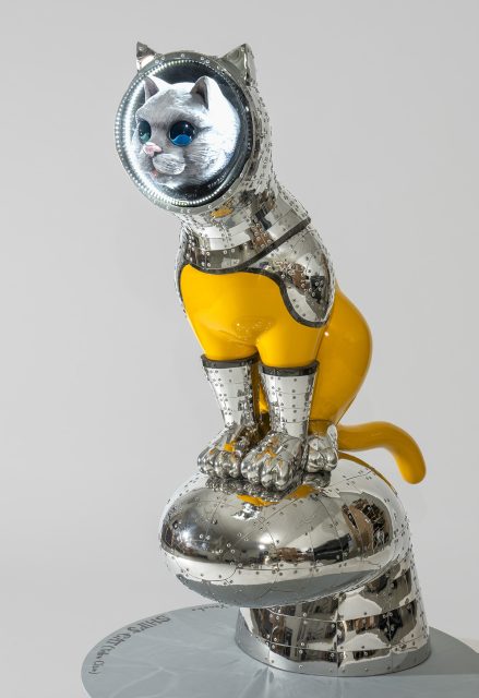 SHIP’S CAT (Yellow Claw)