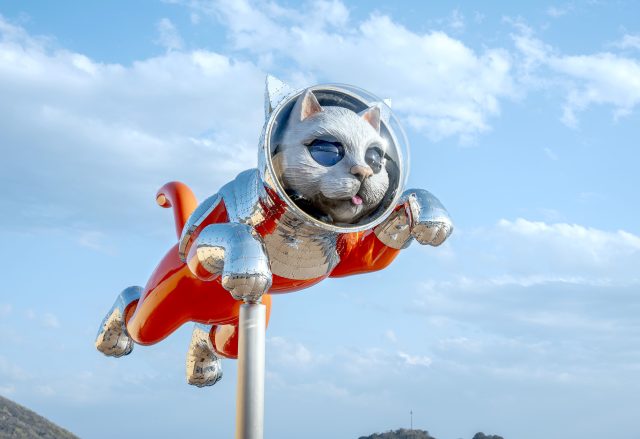 SHIP’S CAT (Jumping)