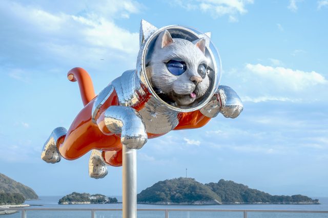 SHIP’S CAT (Jumping)