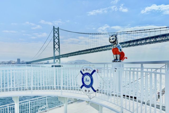 SHIP’S CAT (Boarding)