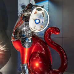 2025_aw0246_b【Yasuyuki Takaki】