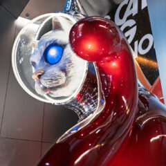 2025_aw0246_c【Yasuyuki Takaki】